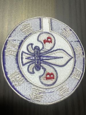 オーダーメイド ナイロン 衣料品 パッチ トリミング アクセサリー エコフレンドリー